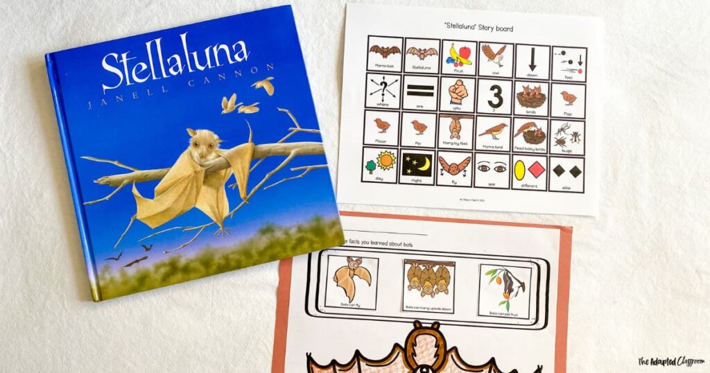 stellaluna book companion AAC