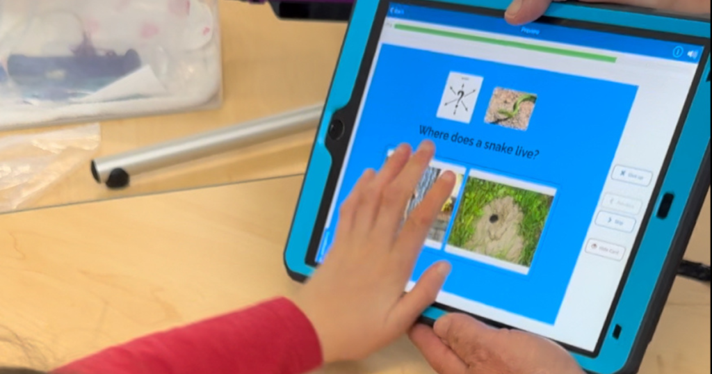 core words and fringe words aac